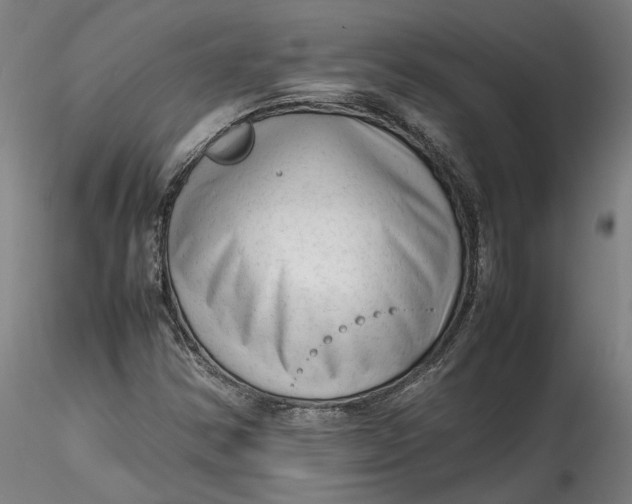 X0000115541354200911271400