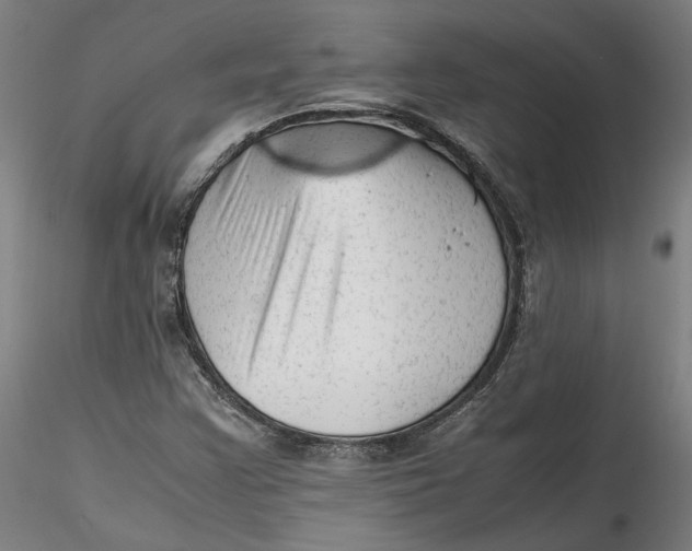 X0000115541355200911271400