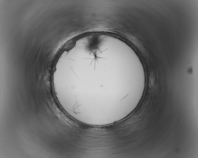 X0000115541356200911271400