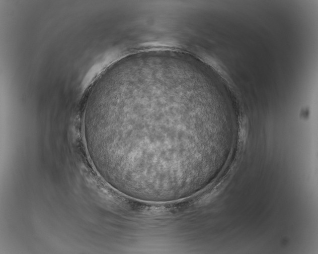 X0000115541357200911271400