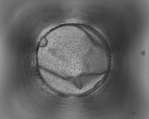 X0000115541358200911271400