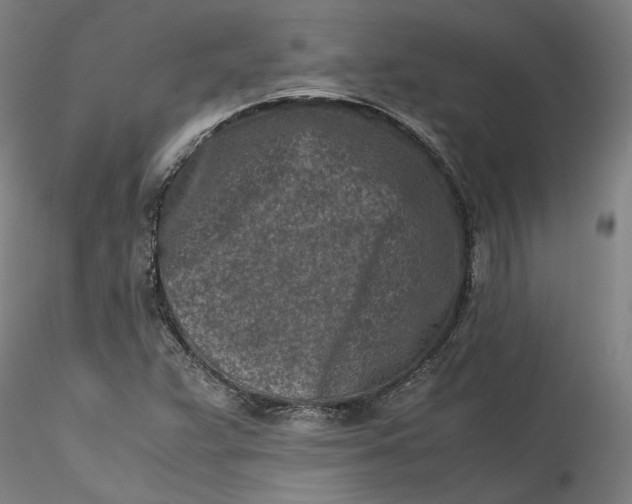 X0000115541359200911271400