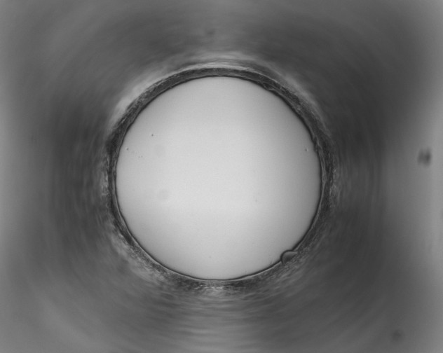 X0000115541360200911271400