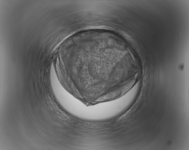 X0000115541361200911271400