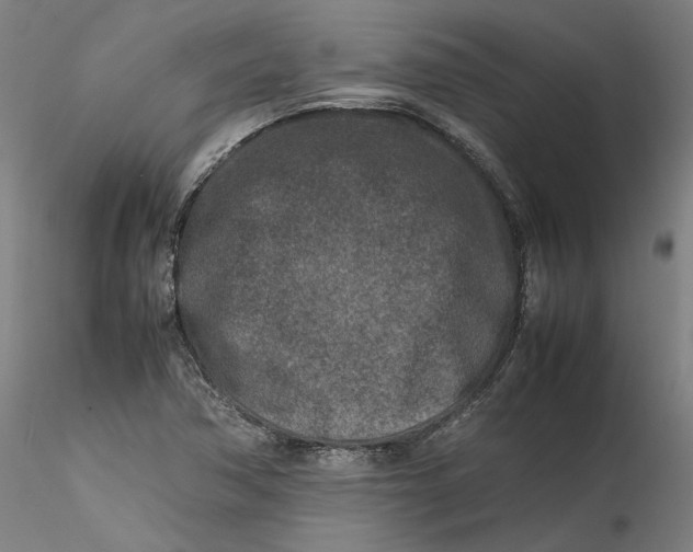 X0000115541362200911271400