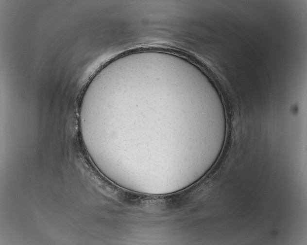 X0000115541363200911271400