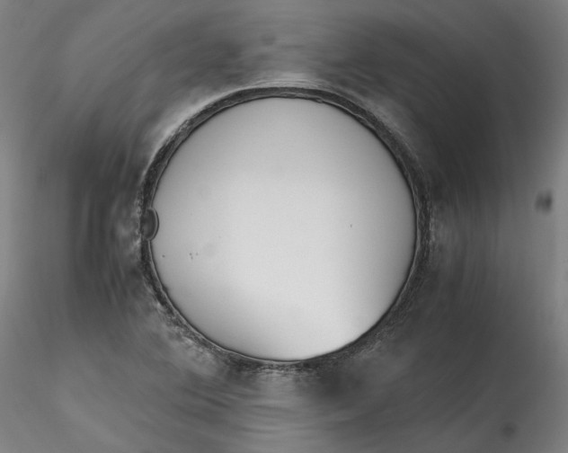 X0000115541364200911271400