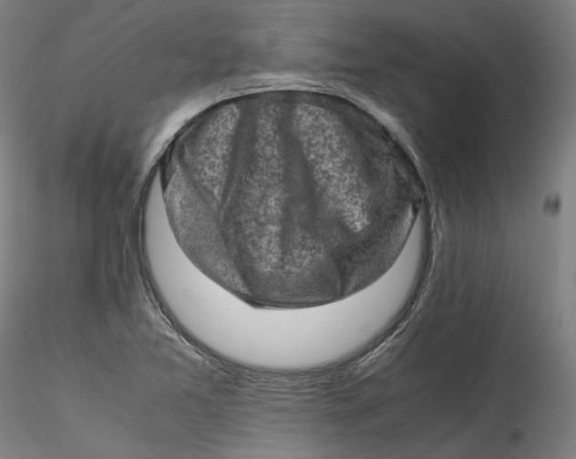 X0000115541365200911271400