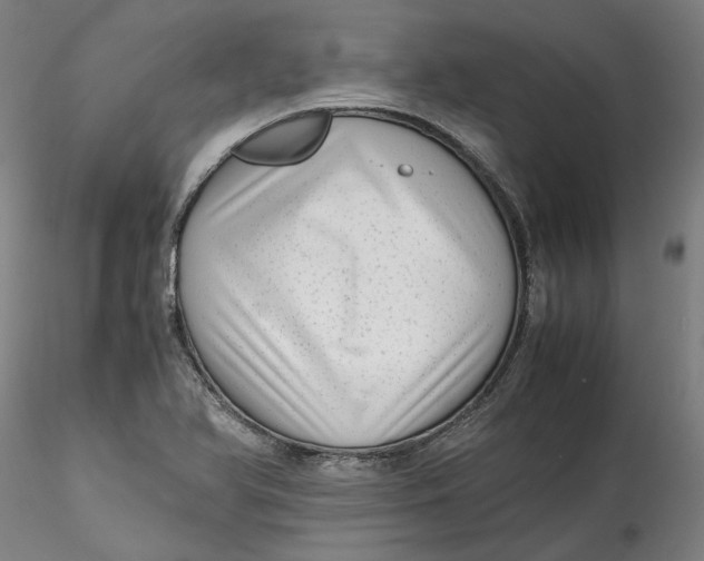 X0000115541366200911271400