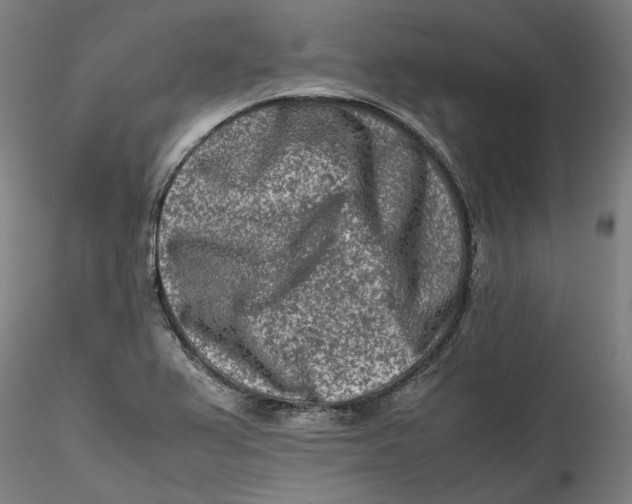 X0000115541367200911271400