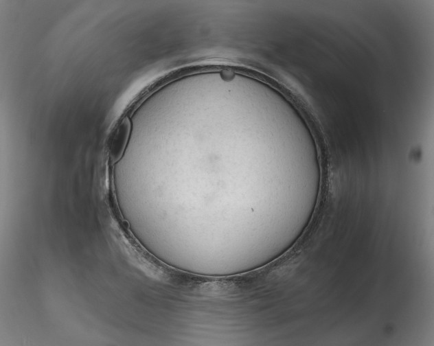 X0000115541368200911271400