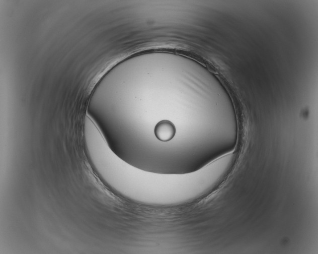 X0000115541369200911271400