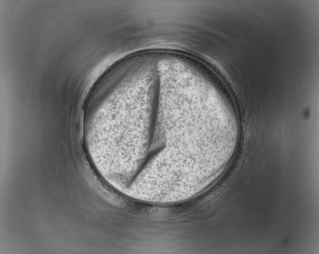 X0000115541371200911271400