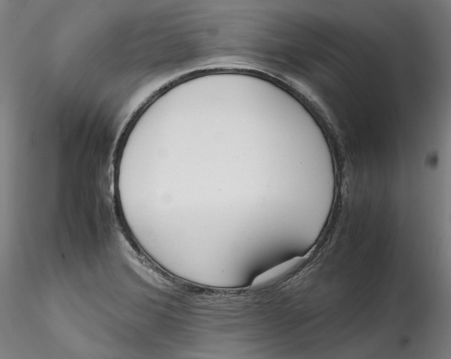 X0000115541372200911271400