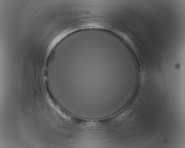 X0000115541373200911271400