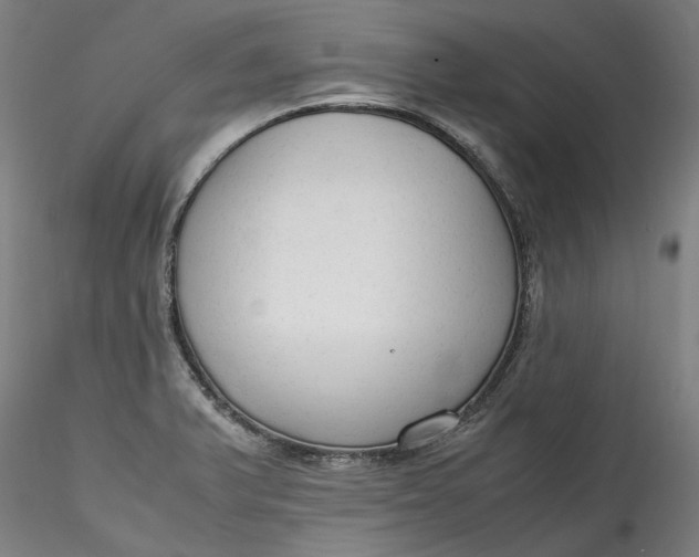 X0000115541375200911271400