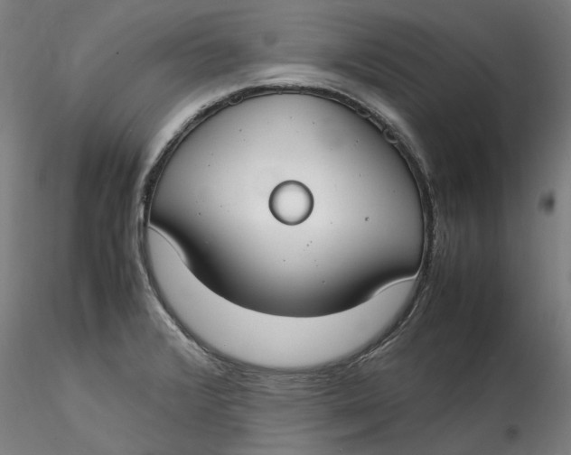 X0000115541376200911271400