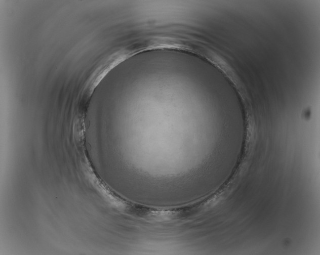 X0000115541377200911271400