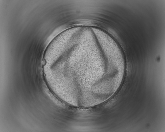 X0000115541378200911271400