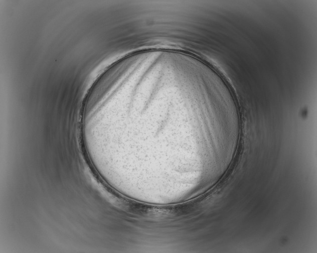 X0000115541379200911271400