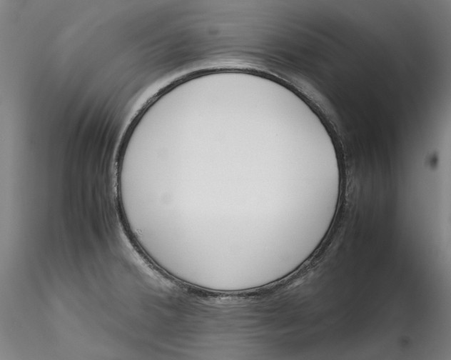 X0000115541380200911271400