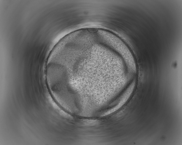 X0000115541382200911271400