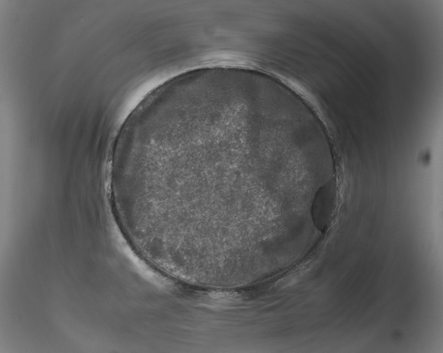 X0000115541383200911271400