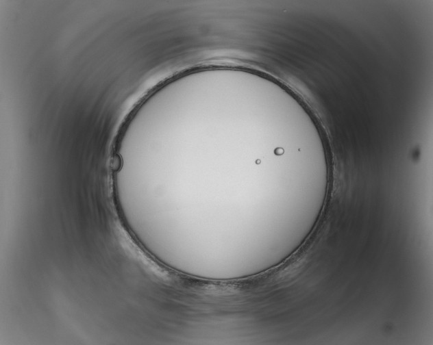 X0000115541384200911271400