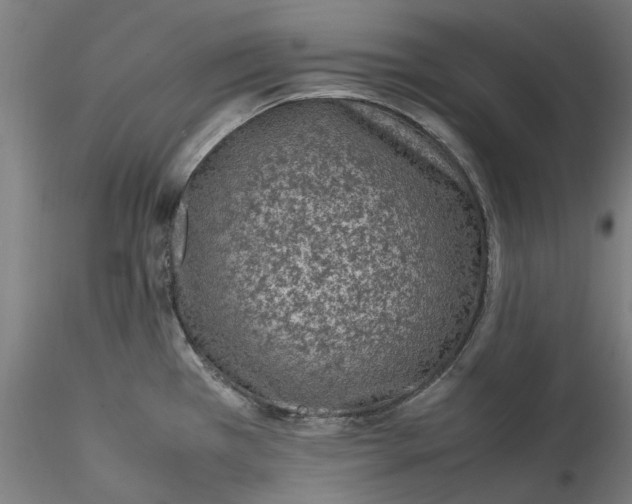 X0000115541385200911271400