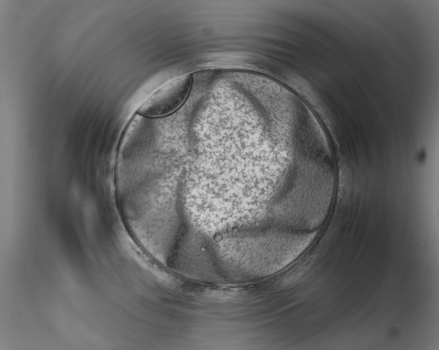 X0000115541386200911271400