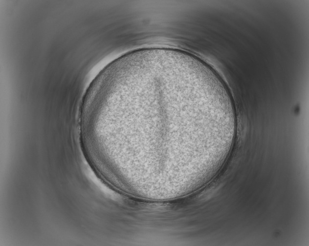 X0000115541387200911271400