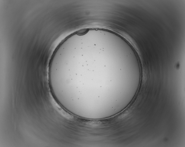 X0000115541388200911271400