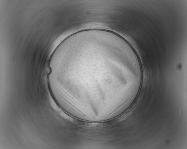 X0000115541390200911271400