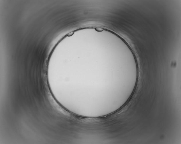 X0000115541392200911271400