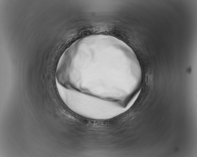 X0000115541393200911271359