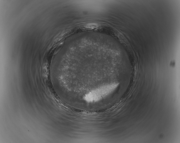 X0000115541394200911271359