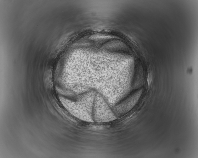 X0000115541396200911271359