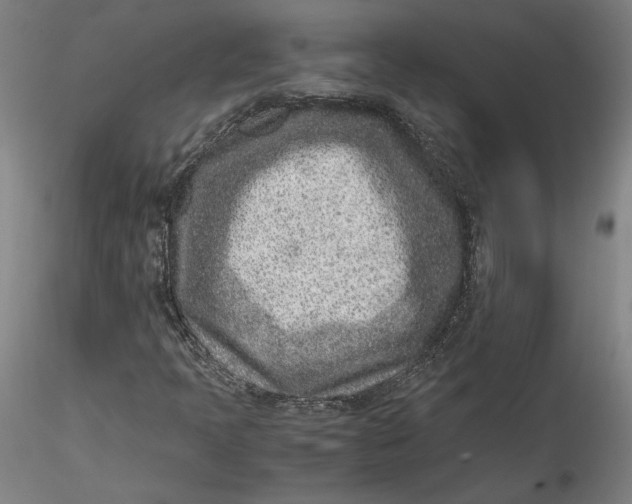 X0000115541397200911271359