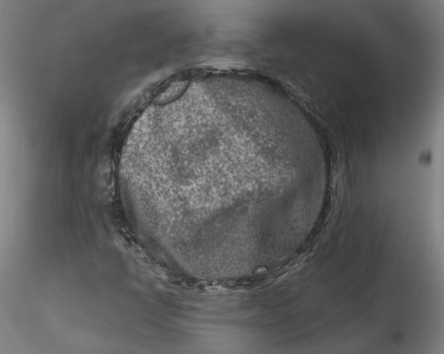 X0000115541398200911271359