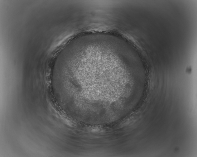 X0000115541399200911271359