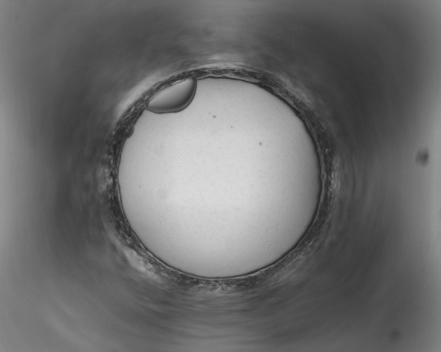 X0000115541400200911271359