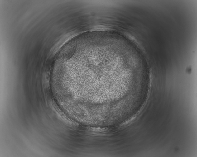 X0000115541401200911271359