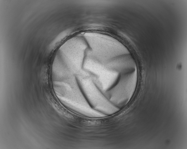 X0000115541403200911271359