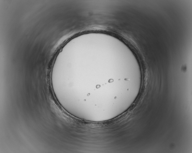 X0000115541404200911271359