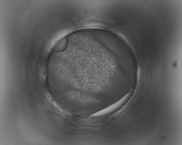 X0000115541405200911271359