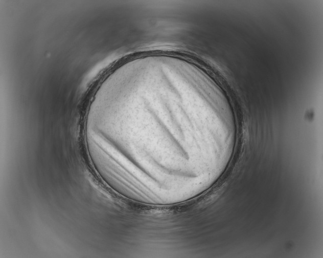 X0000115541406200911271359