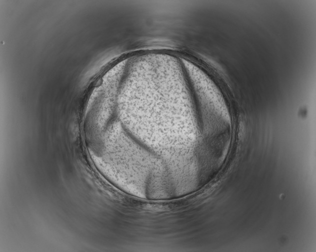 X0000115541407200911271359