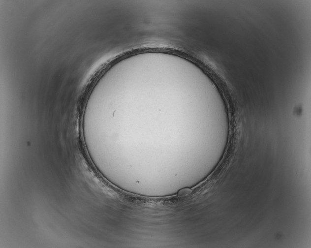 X0000115541408200911271359