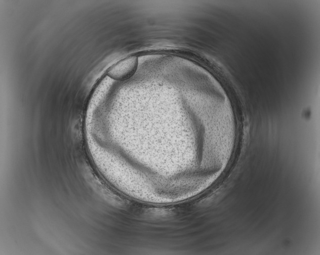 X0000115541409200911271359