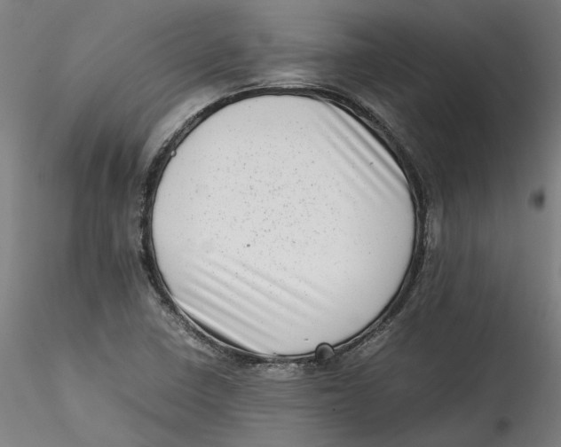 X0000115541410200911271359